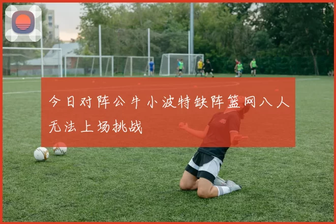 今日对阵公牛小波特缺阵篮网八人无法上场挑战